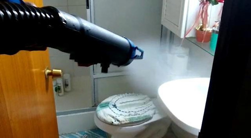 Imagen 5 de 6 de Fumigación Y Control De Plagas
