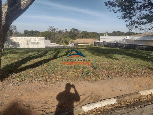 Imagem 7 de 12 de Terreno - Te00021 - 69336091