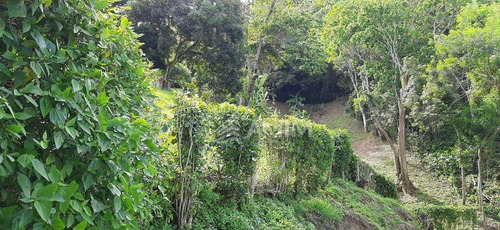 Imagem 4 de 12 de Terreno, Associação, Rua Fechada, Segurança! - Te0148