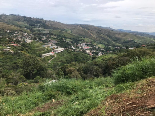 Imagen 3 de 5 de Terreno En Venta