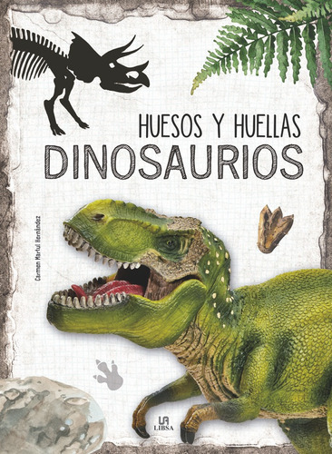 Huesos Y Huellas Dinosaurios - Aa.vv