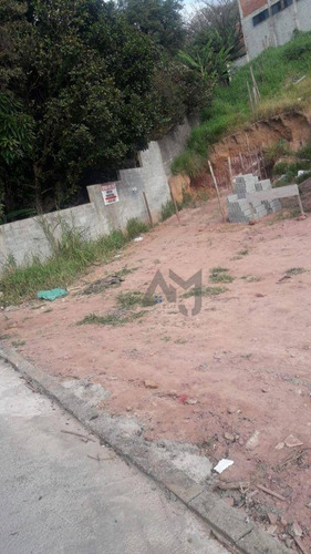 Imagem 7 de 9 de Terreno À Venda, 125 M² Por R$ 95.000,00 - Itaquera - São Paulo/sp - Te0006