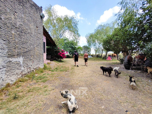 Venta Campo 36,2ha En Toledo Chico Con Chacra Y 2 Pozos
