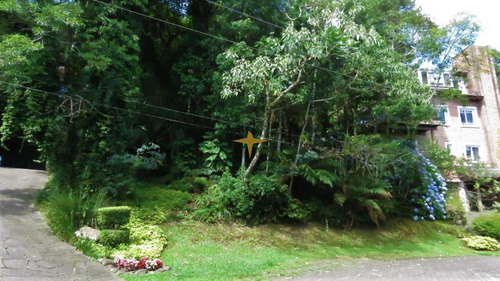 Imagem 2 de 20 de Terreno A Venda - 963