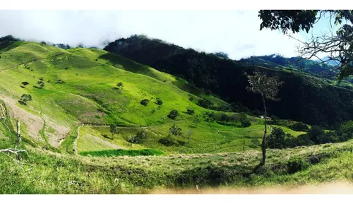 Se Vende Finca Naranjal - Roldanillo