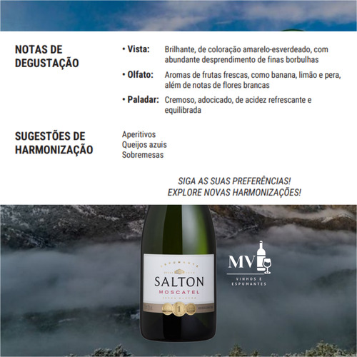 Espumante Salton Moscatel 750ml Nacional Kit 2 Unidades