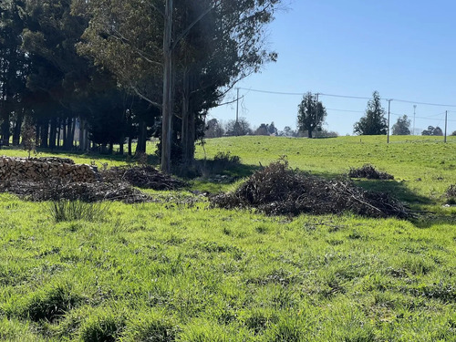 Parcela A Solo 5 Minutos De Osorno