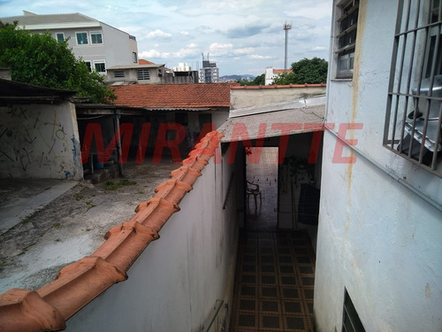 Imagem 4 de 7 de Terreno Em Vila Constança - São Paulo, Sp - 366524