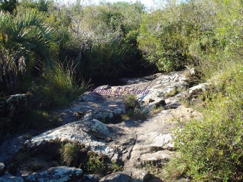 Imagen 8 de 18 de Campo 98 Has Con 2891 M2 En Carape Cuenta Con Costa De Arroyo.