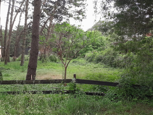 Venta Terreno / Lote Mar Azul