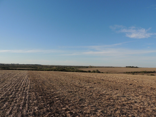 Campos Venta 60 Has Agrícolas Carmelo