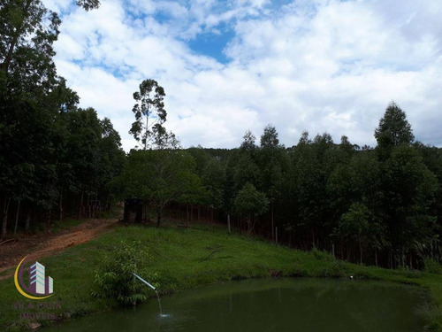 Imagem 22 de 30 de Sítio À Venda, 527314 M² Por R$ 1.750.000,00 - Chácara Brumado - Amparo/sp - Si0003