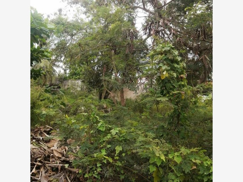 Imagen 6 de 14 de Venta Terreno Del Bosque
