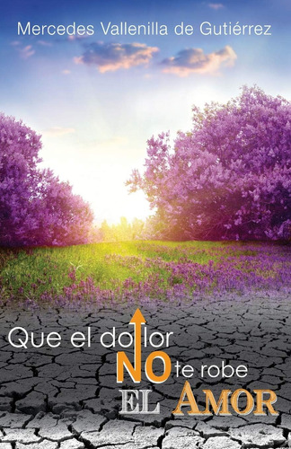 Libro: Que El Dolor No Te Robe El Amor (spanish Edition)