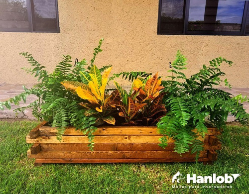 Imagen 6 de 8 de Maceta De Madera Tipo Jardinera De Barrotillo Color Roble