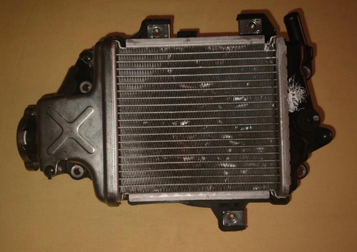 Imagem 1 de 2 de Radiador Honda Pcx 150