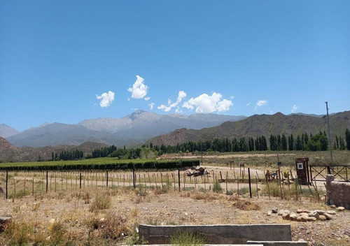 Imagen 6 de 14 de Casa De Montaña, Valle De Uco, Ruta Del Vino (8personas)
