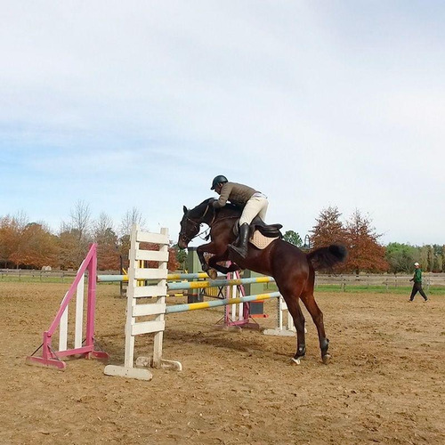 Imagen 9 de 9 de Excelente Lote De 1060mts En El Campo, Cardales