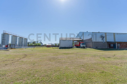 Imagen 16 de 30 de Venta - Galpon - Planta Industrial - Zarate