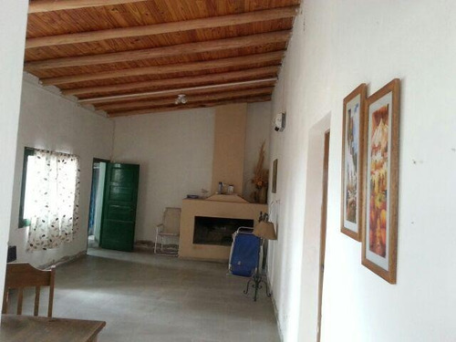 Imagen 24 de 30 de Finca De 62 Ha - General Alvear- Mendoza