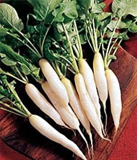 Semillas De Verduras De Hirloom, Color Blanco