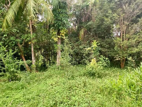 Chácara De 35.000m Tendo Uma Casa Simples
