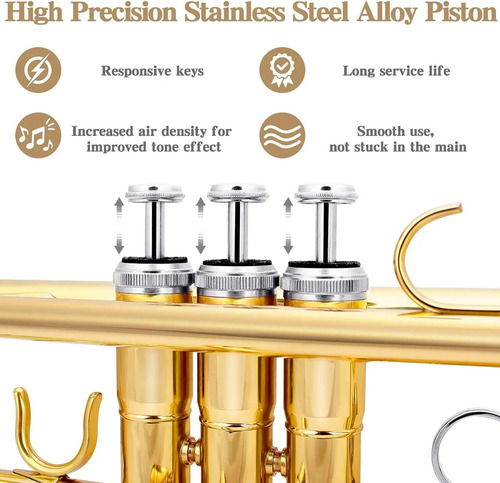 Trompete Slade Em Sib Dourado Laqueado Com Estojo De Luxo