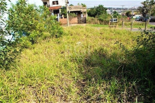 Imagem 3 de 11 de Terreno - Jardim Leopoldina - Ref: 590803 - V-ca5192