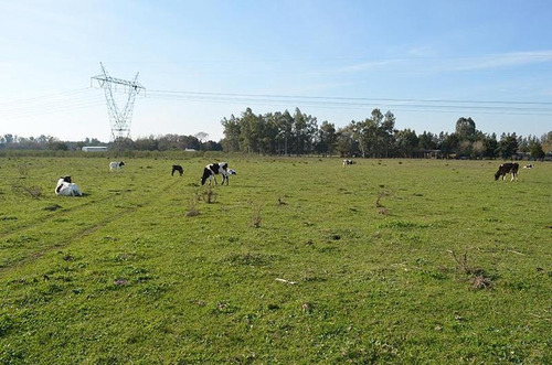 Imagen 8 de 17 de Terreno Para Empredimiento Manzanares 15 Hectareas