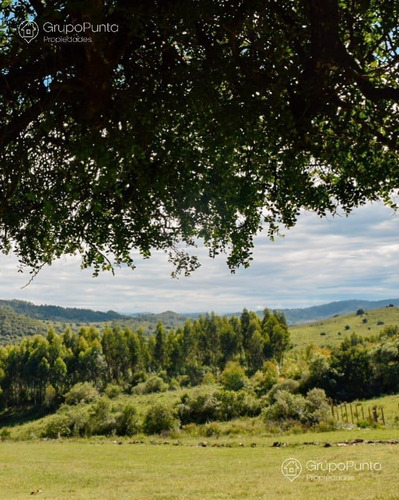 Imagen 15 de 15 de Chacras Financiadas En Minas Lavalleja