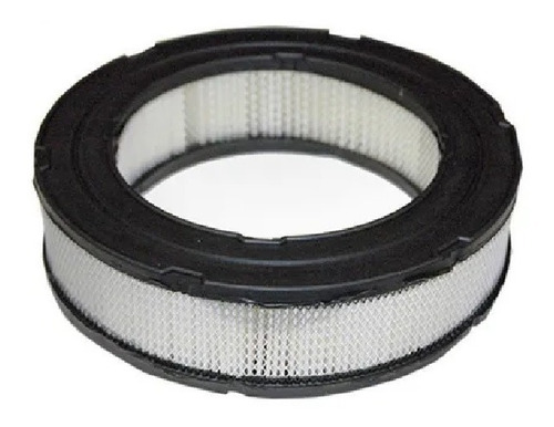 Filtro Aire Briggs & Stratton 692519 Martins