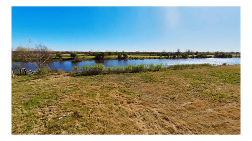 Imagen 16 de 27 de Casa Conteiner A Estrenar De 3 Ambientes Sobre Lote De 3.110 M2 Con 69 Mts De Costa Al Lago