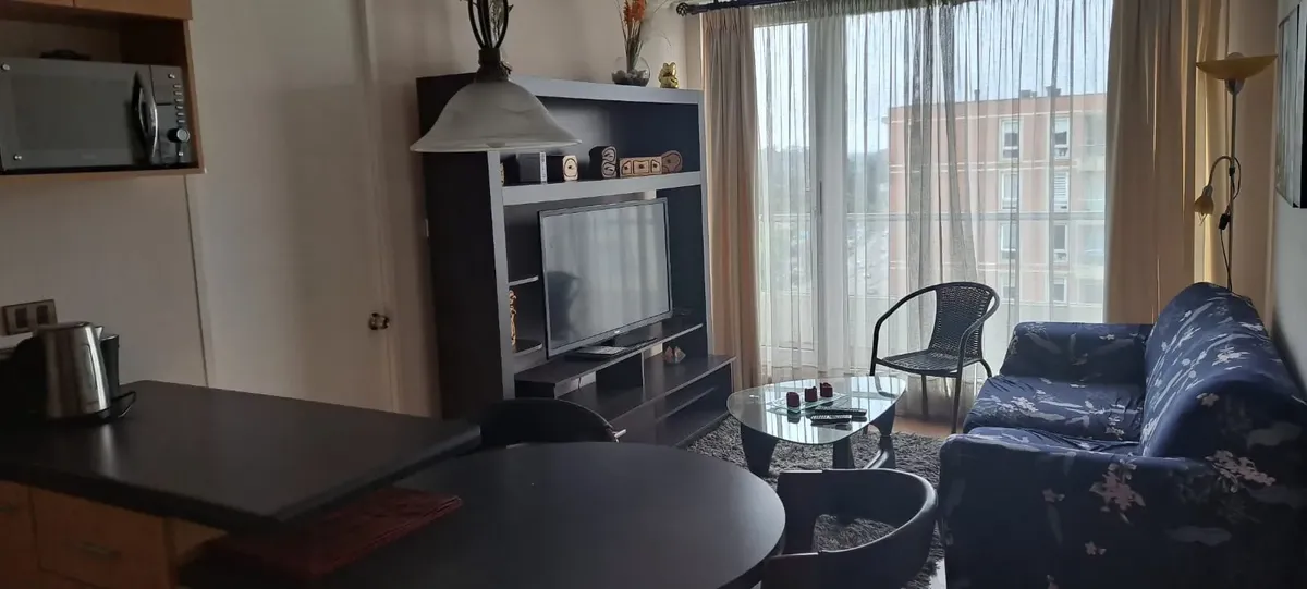 Imagen 3 de 16 de Departamento Amoblado En Arriendo Parque Urbano