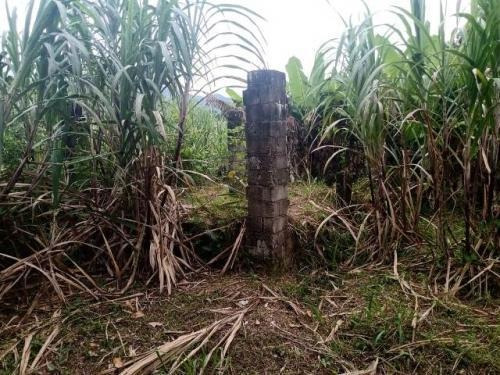 Imagem 5 de 12 de Chácara Em Itariri A 300 Metros Da Rodovia 1000² 20 Vagas.