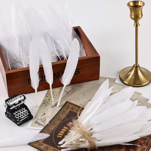 200 Pluma Ganso Alta Calidad Manualidades Eventos Decoración Blanco