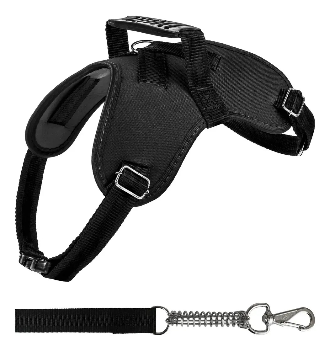 Coleira Para Cachorro, Pitbull, Poodle, Pug, Rottweiler, Schnauzer, Shar-pei, Shiba, Staffordshire Bull Terrier, Weimaraner, Yorkshire, Shih Tzu Patas E Pegadas California Preto Tamaño M