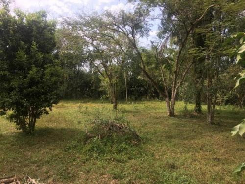 Chácara Com 1300m² No Jardim Aguapeu Em Itanhaém! - 5956