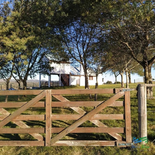 Imagen 4 de 20 de Vendo Chacra 5 Hectateas Con Casa En Ruta 39, Las Cañas - Las Cañas Las Cañas