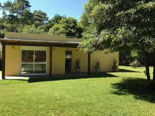 Casa Del Arbol En Portezuelo, Punta Ballena