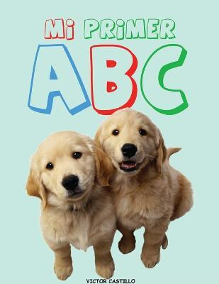 Libro Mi Primer Abc (impresion Gigante) : (aprende El Alf...