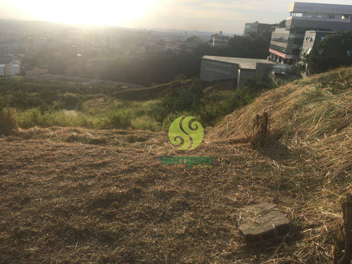 Imagem 10 de 15 de Terreno Para Alugar, 1200 M² Por R$ 2.000,00/mês - Estoril - Belo Horizonte/mg - Te0041