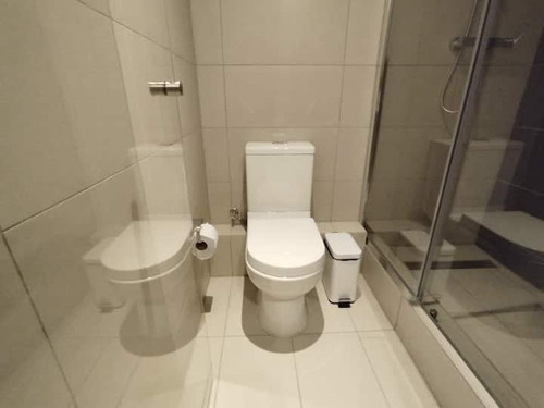 Arriendo Departamento Amoblado Exclusivo Sector Providencia