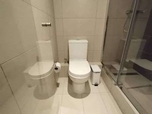Arriendo Departamento Amoblado Exclusivo Sector Providencia