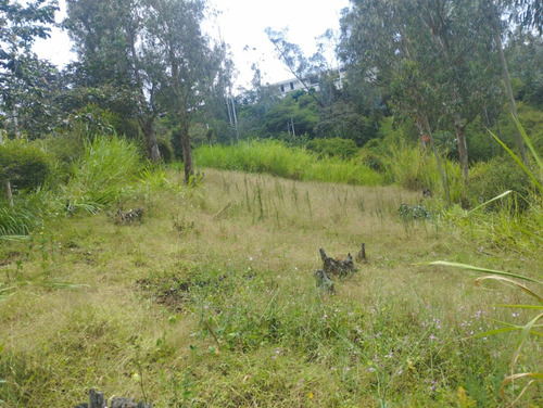 Vendo Terreno Zámbiza 