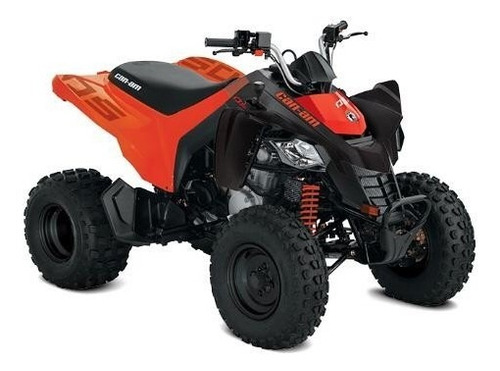 Can Am Ds 250 2021