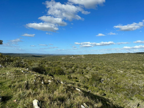 Imagen 7 de 16 de Campo En Venta (ref: Bpv-9121)