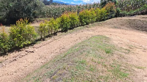 Lindos Lotes En Venta Con Excelente Ubicación Vecindario Y Vista 100%.