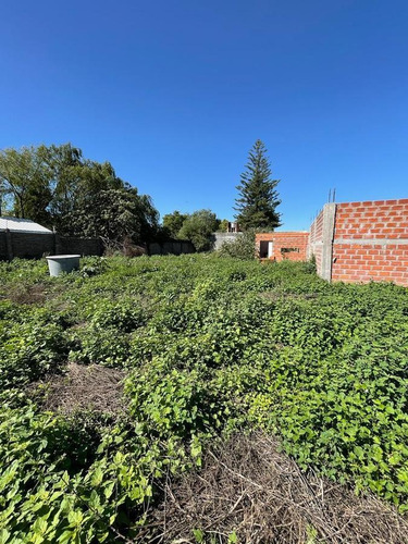 Imagen 8 de 8 de Alquiler Lote Baldio 1562m2