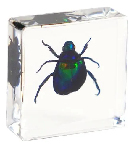 Insectos Artesanales De Resina Con Forma De Escarabajo, Arañ