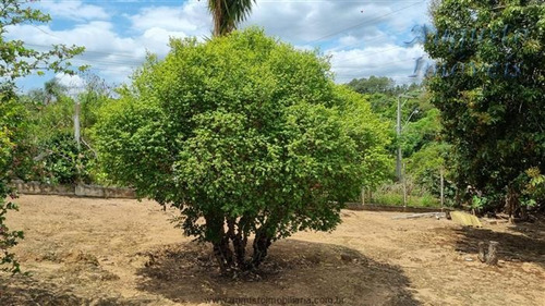 Imagem 6 de 29 de Chácaras À Venda Em Atibaia/sp - Compre O Seu Chácaras Aqui! - 1484754